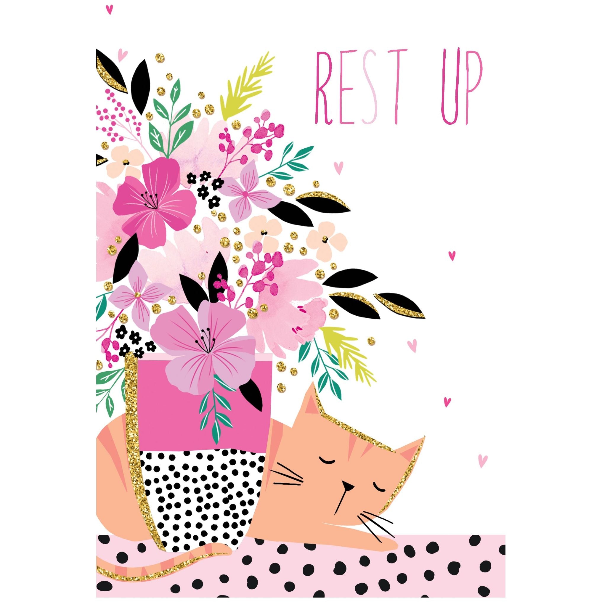 Sleeping Cat Get Well Card Sara Miller - Cardmore